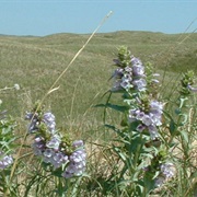 John W. and Louise Seier National Wildlife Refuge