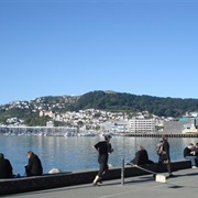 Walk Around the Waterfront