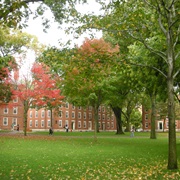The Harvard Yard, Cambridge, MA