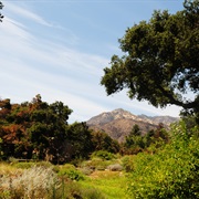 Santa Barbara Botanic Garden