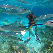 Doctor's Cove, Montego Bay, Jamaica
