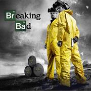 Breaking Bad (2013)