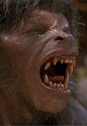 An American Werewold in London