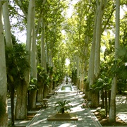 Khan Baghy Park
