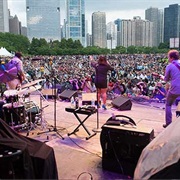 See a Concert at the Chicago Blues Festival
