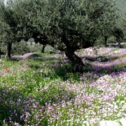 Mani Peninsula, Greece