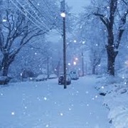 Watch the First Snowfall