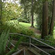 Viretta Park (Seattle)