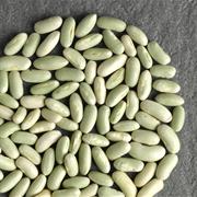 Green Flageolet