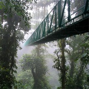 Hike Through Costa Rica's Cloud Forests