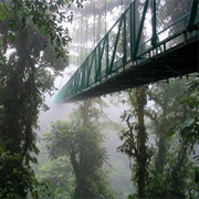 Hike Through Costa Rica&#39;s Cloud Forests