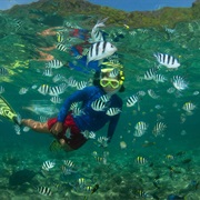 Snorkle With Friendly Sergeant Major