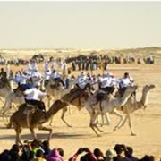 Festival of the Sahara