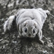 Nuuksio National Park, Finland