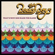 Beach Boys - That&#39;s Why God Made the Radio
