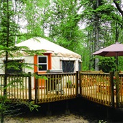 Flora Bora Forest Lodging