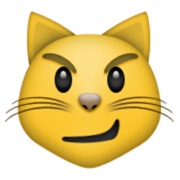 Wry Smiled Cat
