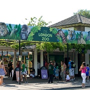 London Zoo