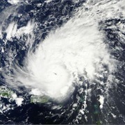 Survived a Hurricane