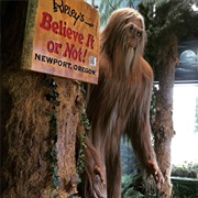 Ripley's Believe It or Not Newport