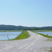 Minor E. Clark Fish Hatchery, Kentucky