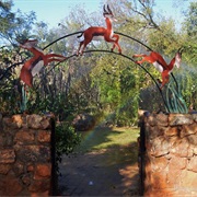 Springbok Park Pretoria