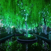 Magic Forest in Shanghai