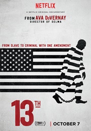 The 13th (2016)