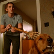 Ned (Pushing Daisies)