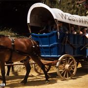 Conestoga Wagons