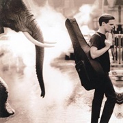 Adams, Bryan: On a Day Like This