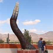 Chiricahua Desert Museum