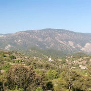 Cyprus: Mount Olympus (6,401 Ft)