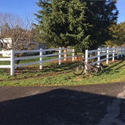 Mount Vista, Washington