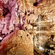 Guacharos Cave, Cauca