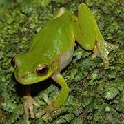 Sir Charles Hardy Group National Park (QLD)