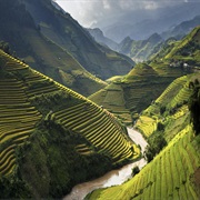 Mù Cang Chải Rice Terrace