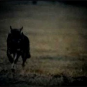 Meteoro 2028 – Los Natas (1999)