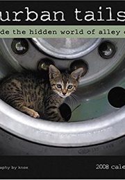 Urban Tails: Inside the Hidden World of Alley Cats (Knox & Sara Neeley)