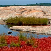 Arabia Mountain National Heritage Area