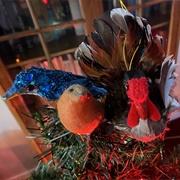 Loved and Cared - Inner Kid