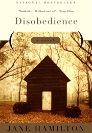 Disobedience (Jane Hamilton)