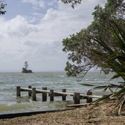 Awhitu Regional Park Walk - Easy (1 Hour 30 Minuets)