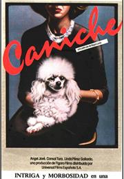 Caniche