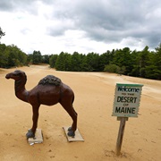The Desert of Maine