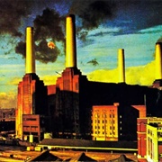 Sheep - Pink Floyd