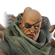 Sagat