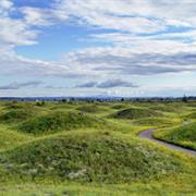 Mima Mounds, Littlerock