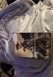 The Black Rocks of Morwenstow (John Wilcox)