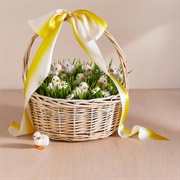 Make an Easter Basket